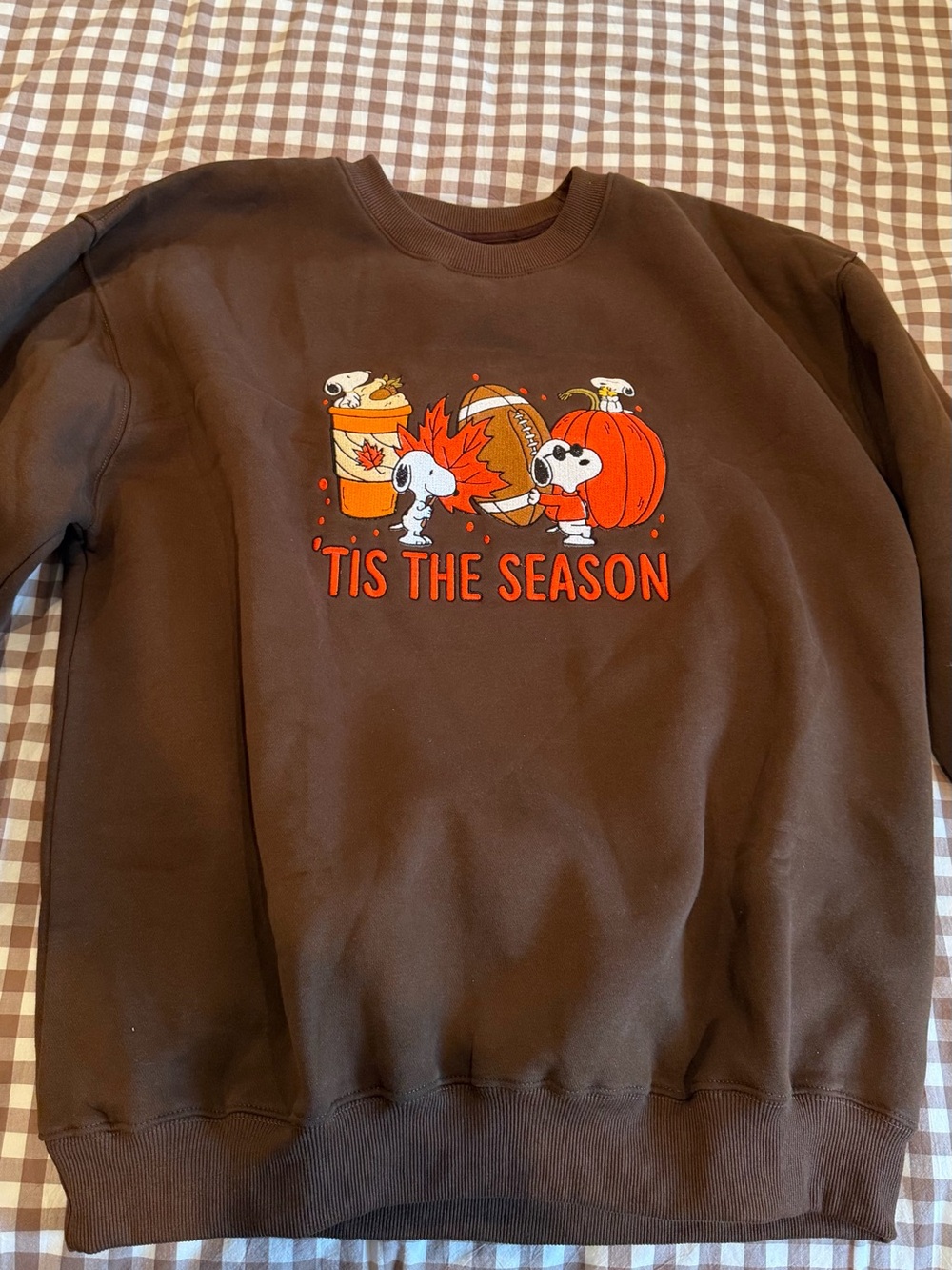 Snoopy Fall Sweatshirt